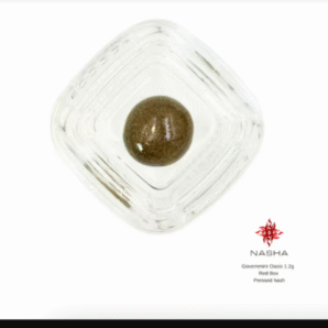 Governmint Oasis [1.2g]