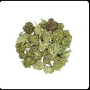 Platinum Girl Scout Cookies x Super Sour Diesel