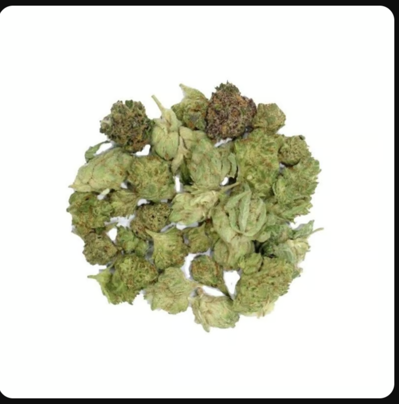 Platinum Girl Scout Cookies x Super Sour Diesel