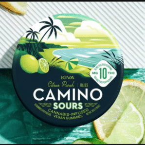 'Bliss' Citrus Punch [10pk] (100mg THC)