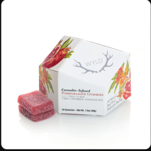Pomegranate 1:1 CBD + Hybrid Enhanced Gummies | 100mg THC:100mg CBD